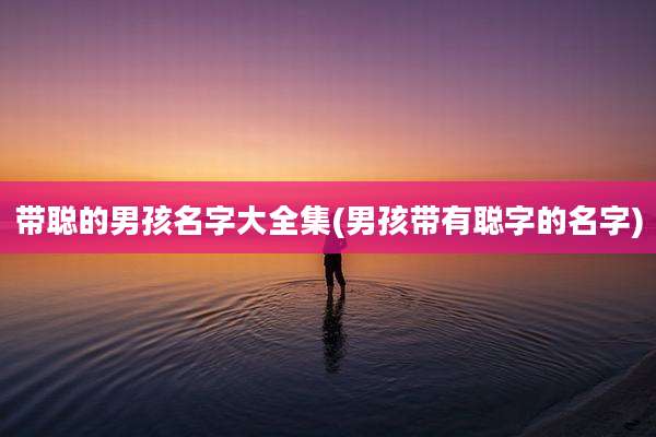 带聪的男孩名字大全集(男孩带有聪字的名字)