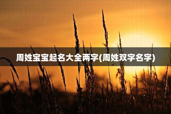 周姓宝宝起名大全两字(周姓双字名字)