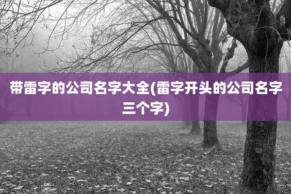 带雷字的公司名字大全(雷字开头的公司名字三个字)