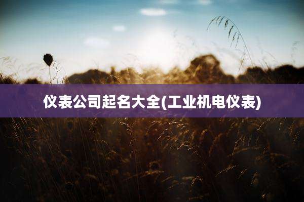 仪表公司起名大全(工业机电仪表)