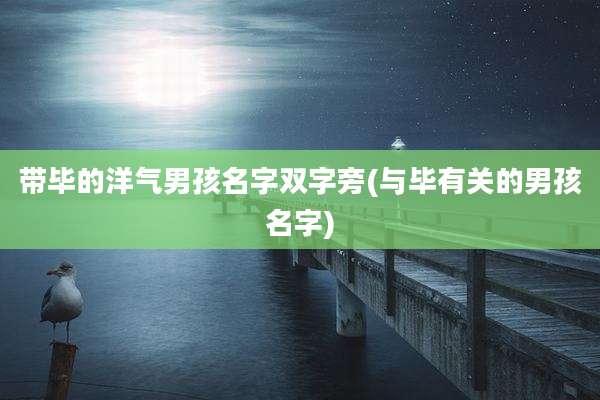 带毕的洋气男孩名字双字旁(与毕有关的男孩名字)