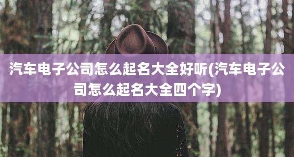 汽车电子公司怎么起名大全好听(汽车电子公司怎么起名大全四个字)