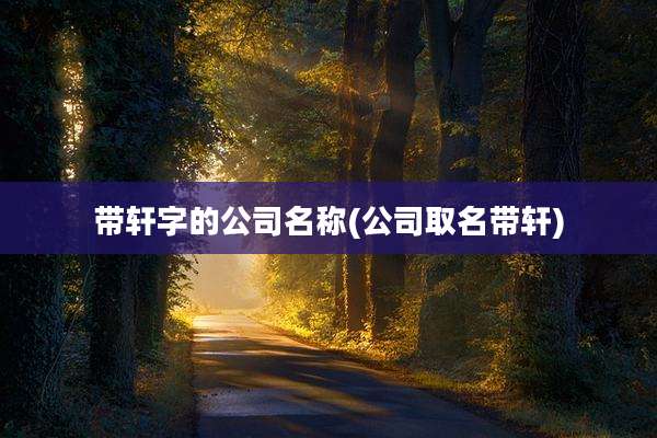 带轩字的公司名称(公司取名带轩)