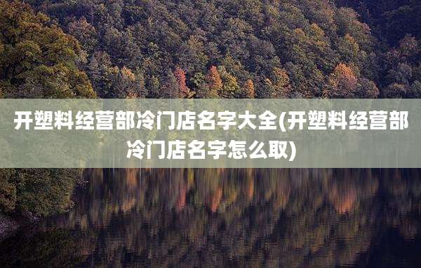 开塑料经营部冷门店名字大全(开塑料经营部冷门店名字怎么取)