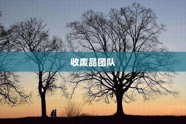 收废品团队