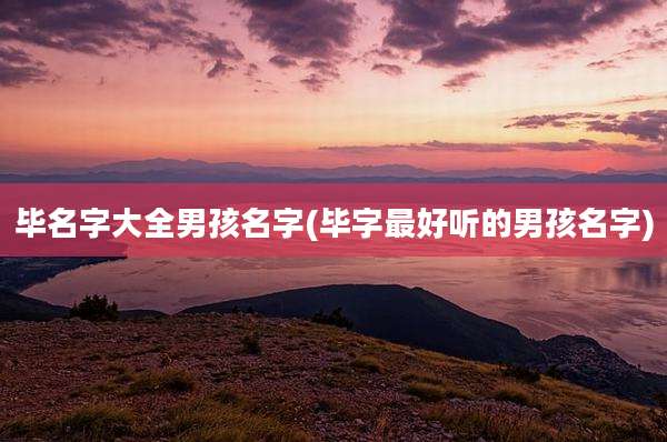 毕名字大全男孩名字(毕字最好听的男孩名字)