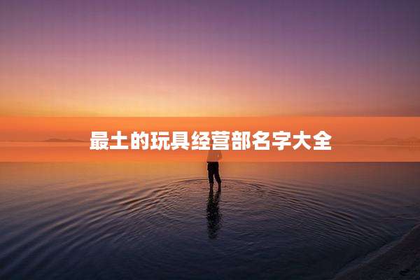 最土的玩具经营部名字大全