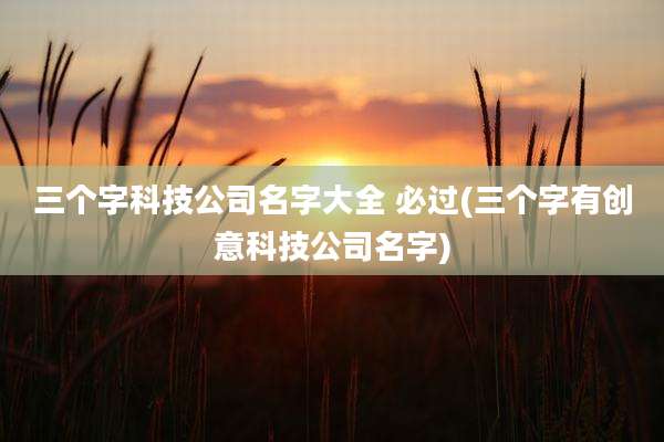三个字科技公司名字大全 必过(三个字有创意科技公司名字)