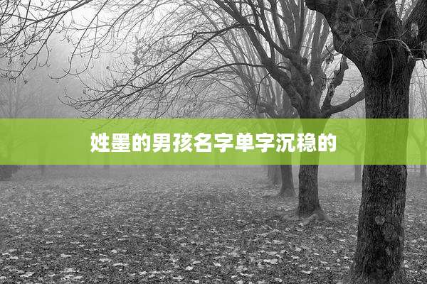 姓墨的男孩名字单字沉稳的