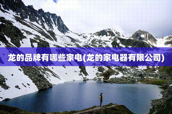 龙的品牌有哪些家电(龙的家电器有限公司)