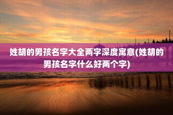 姓胡的男孩名字大全两字深度寓意(姓胡的男孩名字什么好两个字)