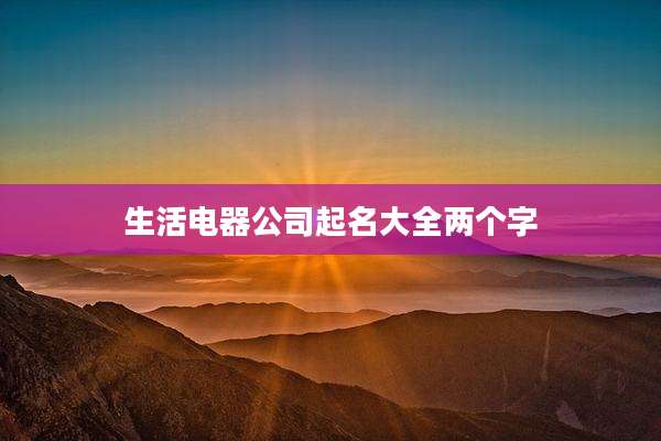 生活电器公司起名大全两个字
