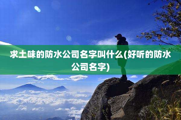 求土味的防水公司名字叫什么(好听的防水公司名字)