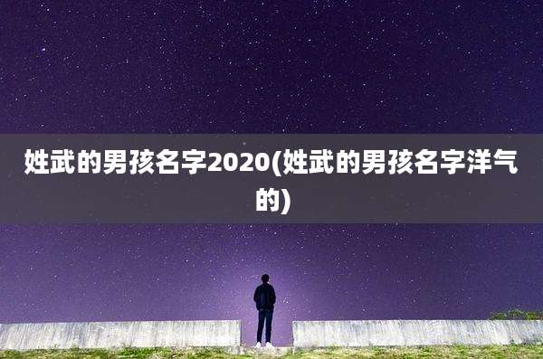 姓武的男孩名字2020(姓武的男孩名字洋气的)