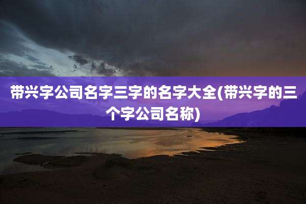 带兴字公司名字三字的名字大全(带兴字的三个字公司名称)