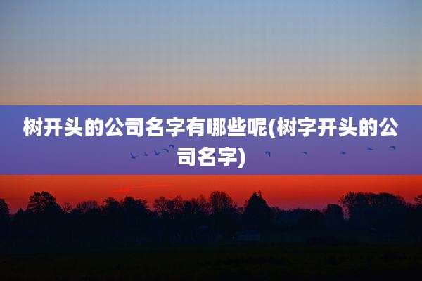 树开头的公司名字有哪些呢(树字开头的公司名字)