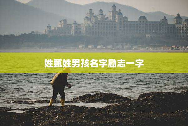 姓甄姓男孩名字励志一字