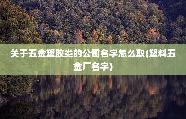 关于五金塑胶类的公司名字怎么取(塑料五金厂名字)