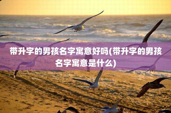 带升字的男孩名字寓意好吗(带升字的男孩名字寓意是什么)