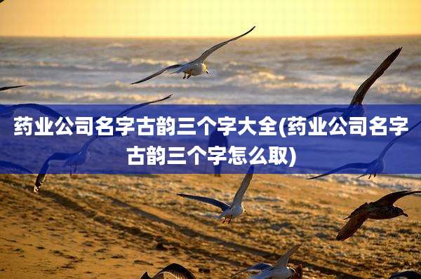 药业公司名字古韵三个字大全(药业公司名字古韵三个字怎么取)