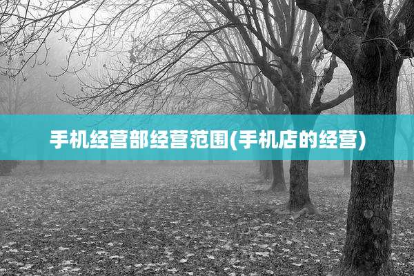 手机经营部经营范围(手机店的经营)