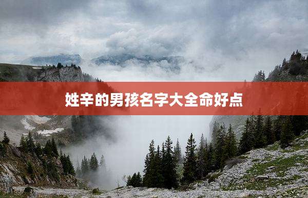 姓辛的男孩名字大全命好点