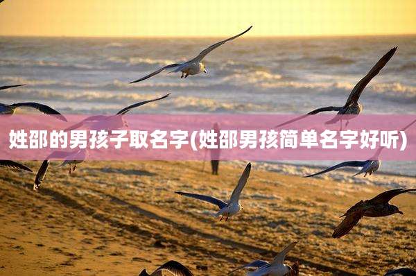 姓邵的男孩子取名字(姓邵男孩简单名字好听)
