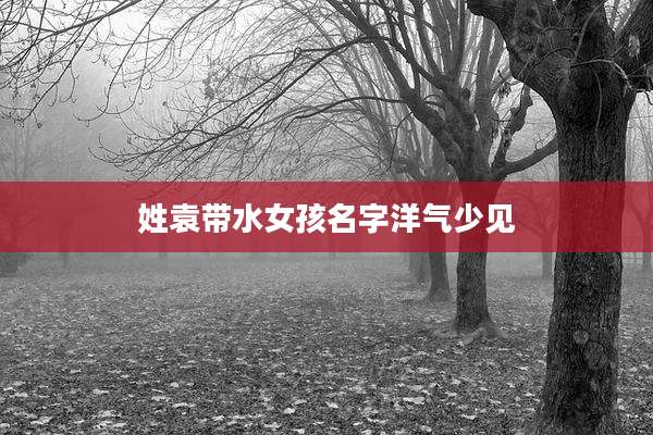 姓袁带水女孩名字洋气少见