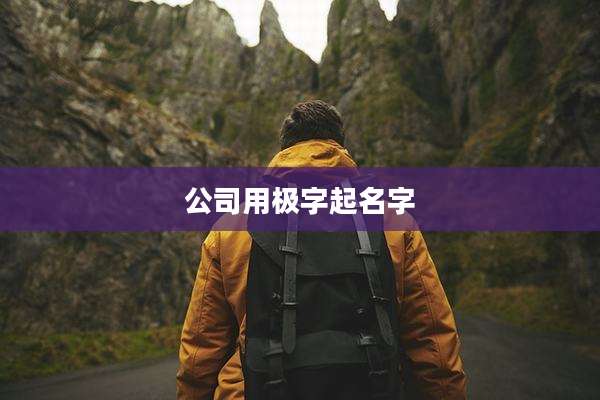 公司用极字起名字