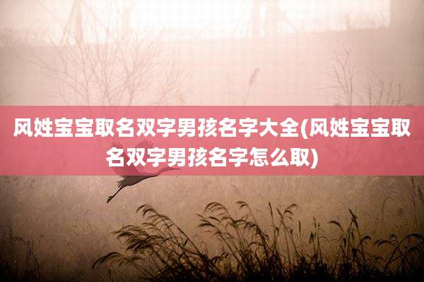 风姓宝宝取名双字男孩名字大全(风姓宝宝取名双字男孩名字怎么取)