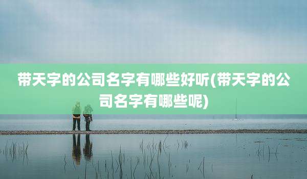 带天字的公司名字有哪些好听(带天字的公司名字有哪些呢)