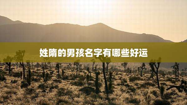 姓隋的男孩名字有哪些好运