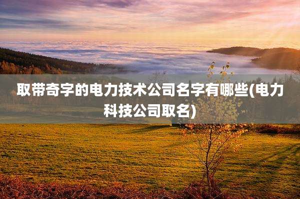 取带奇字的电力技术公司名字有哪些(电力科技公司取名)