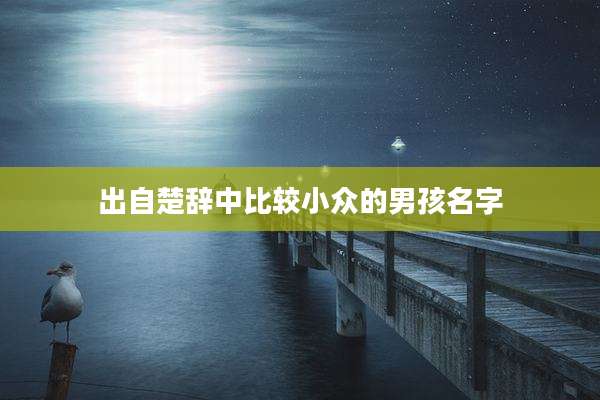 出自楚辞中比较小众的男孩名字