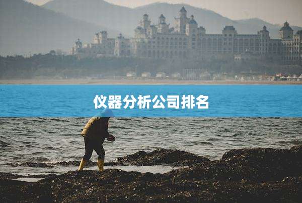 仪器分析公司排名