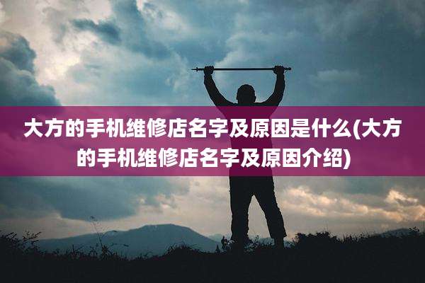 大方的手机维修店名字及原因是什么(大方的手机维修店名字及原因介绍)