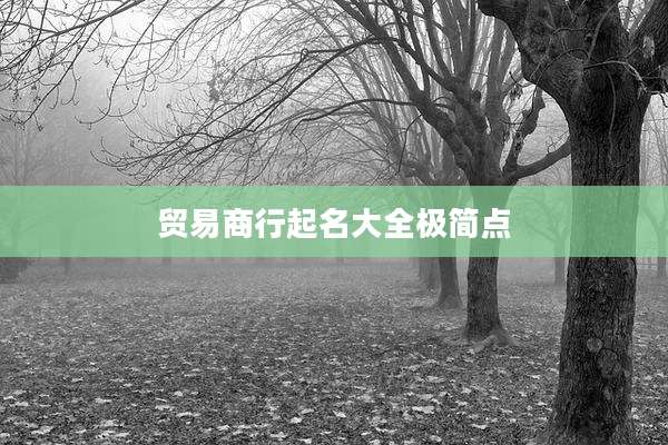 贸易商行起名大全极简点
