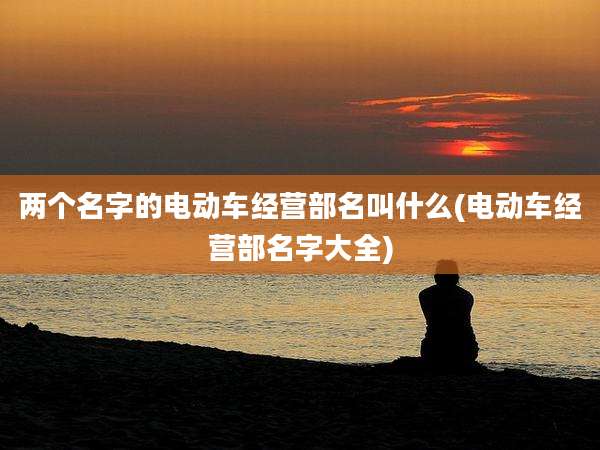 两个名字的电动车经营部名叫什么(电动车经营部名字大全)