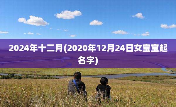2024年十二月(2020年12月24日女宝宝起名字)