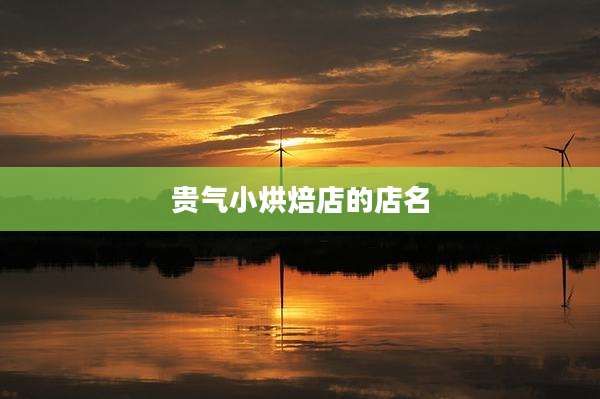 贵气小烘焙店的店名
