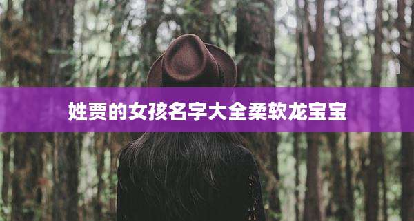 姓贾的女孩名字大全柔软龙宝宝