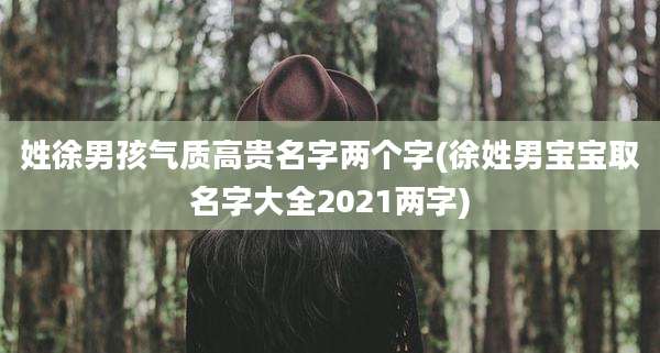姓徐男孩气质高贵名字两个字(徐姓男宝宝取名字大全2021两字)