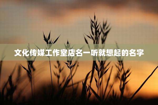 文化传媒工作室店名一听就想起的名字