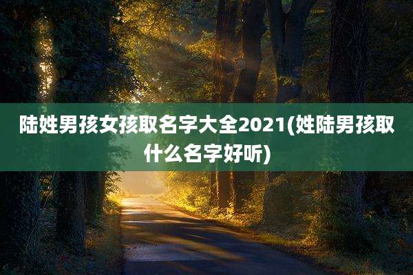 陆姓男孩女孩取名字大全2021(姓陆男孩取什么名字好听)