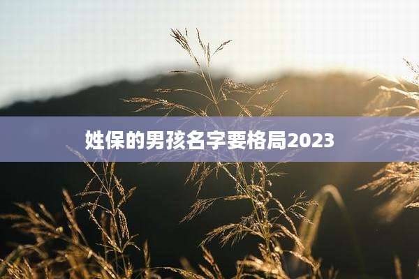 姓保的男孩名字要格局2023