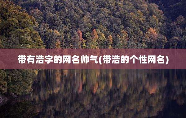 带有浩字的网名帅气(带浩的个性网名)