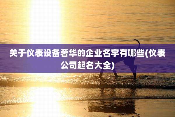 关于仪表设备奢华的企业名字有哪些(仪表公司起名大全)