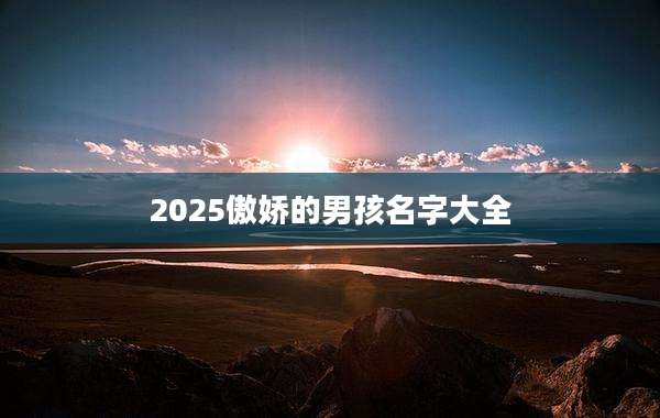 2025傲娇的男孩名字大全