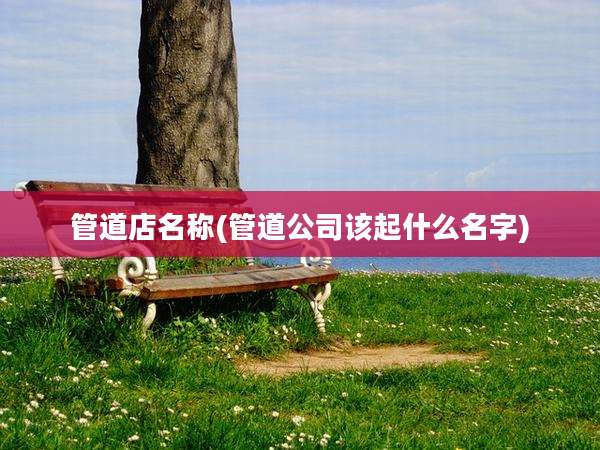 管道店名称(管道公司该起什么名字)