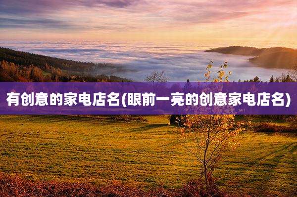 有创意的家电店名(眼前一亮的创意家电店名)